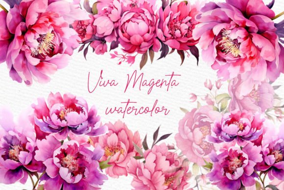 Fuchsia Pink Flower Hot Pink Flower: Vibrant Watercolor Cliparts