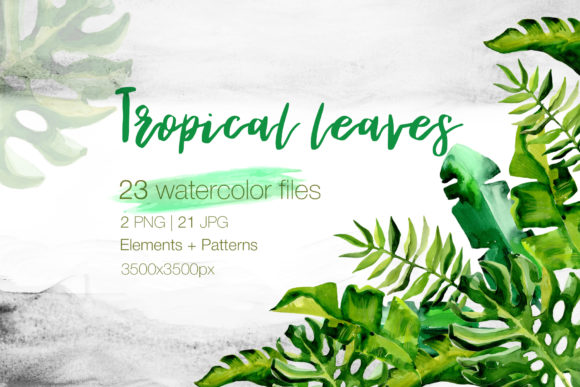 Succulent Tropical Leaves Watercolor Set: A Designer's Botanical Toolkit