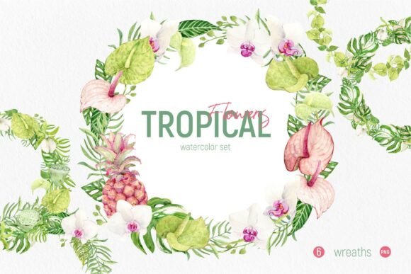 Tropical Flowers Set: Wreaths for Vibrant Design Projects