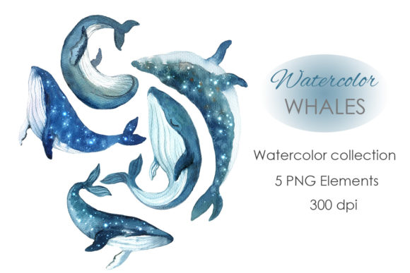 Whale Art: Watercolor Whale Clipart for Creative Design