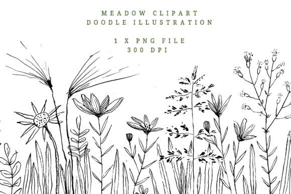 Wildflower Meadow Flowers: Hand Drawn Floral Clipart for Designers